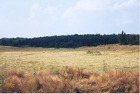 Archers Spring