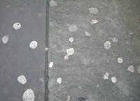 Chewing gum on pavement