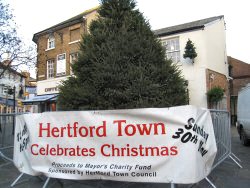 Photo of Christmas tree in Salisbury Sqauer