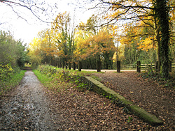 Photo of the Cole Green Way at the old Cole Green Station