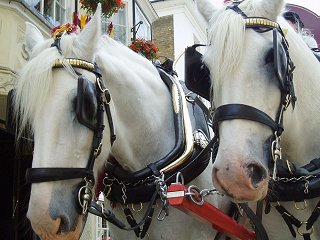 Hertford Funday 2004
