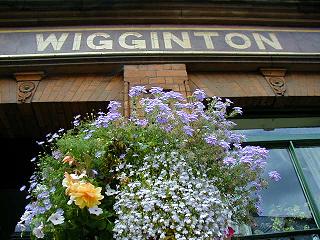 In Bloom at Wigginton's