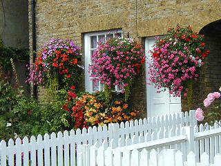 In Bloom in Port Vale