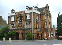 The Dolphin