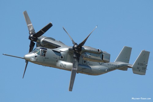 osprey.jpg