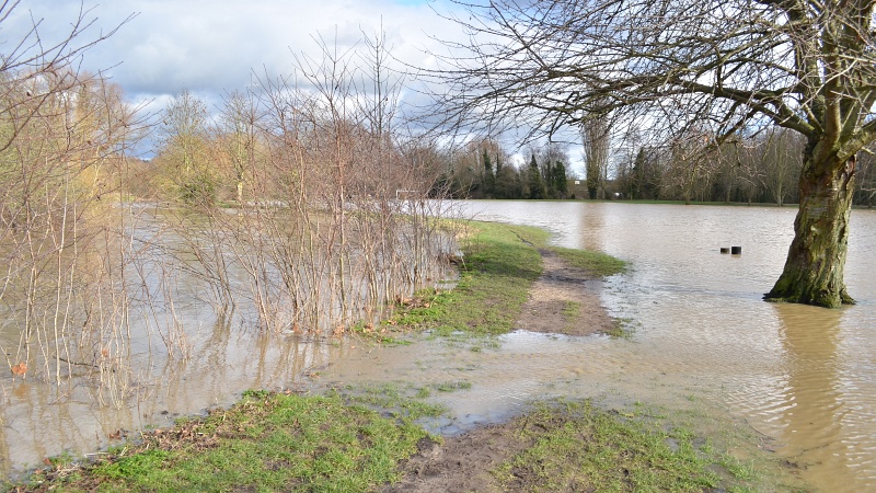 hartham6.jpg