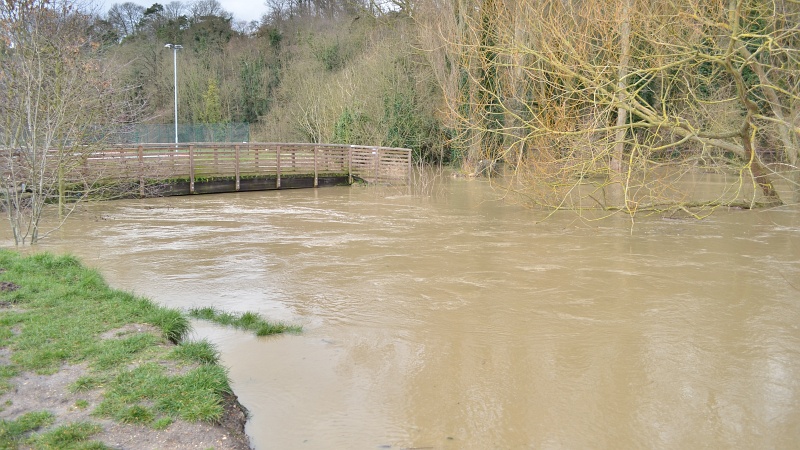 hartham7.jpg
