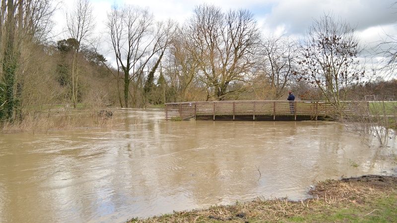 hartham9.jpg