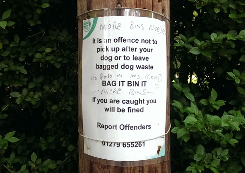 more_bins.jpg