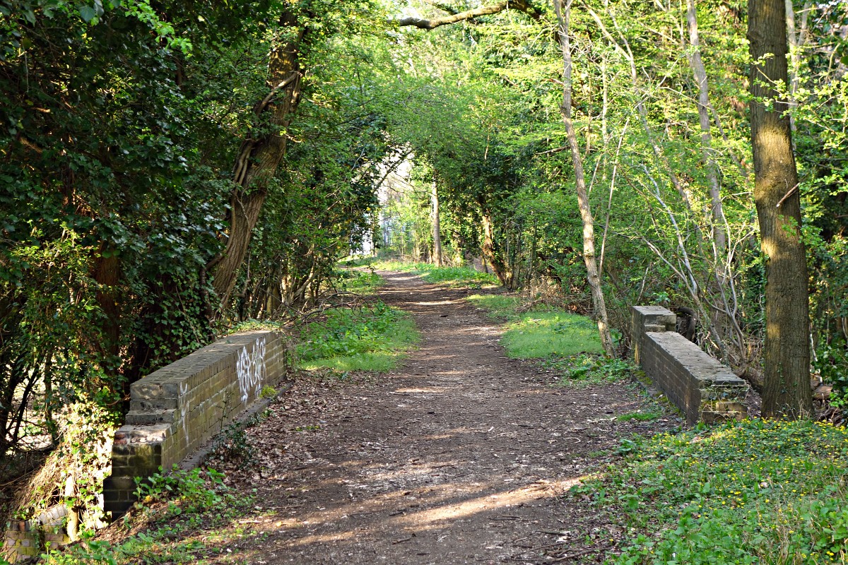 Photo of trackbed