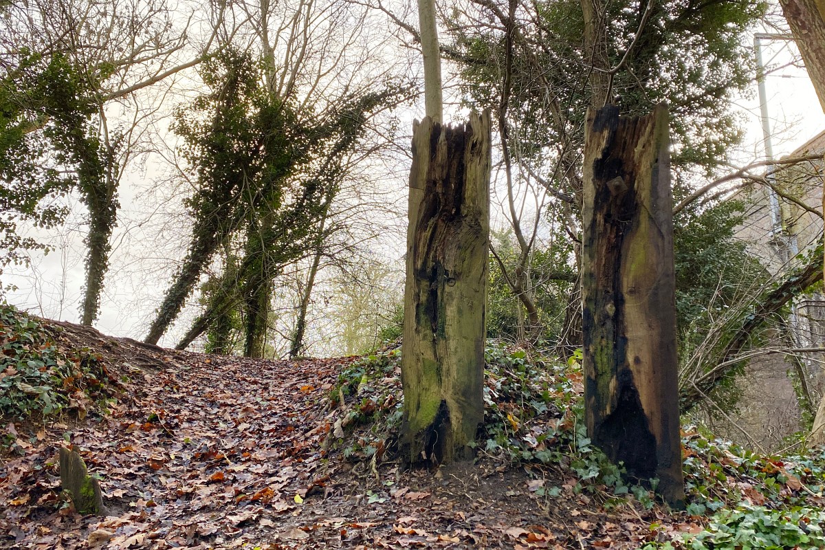 Photo of railway timbers